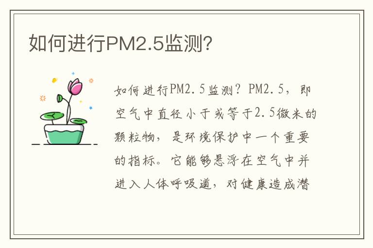 如何進行PM2.5監測？